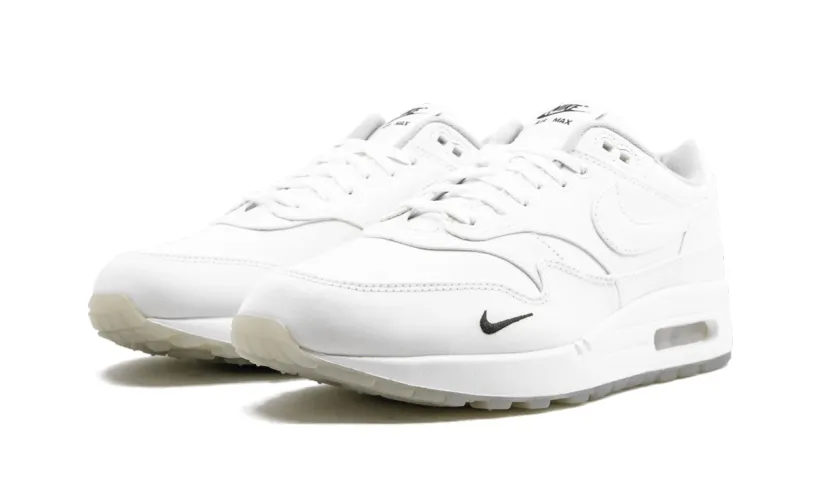 Nike Air Max Air Max 1 'DSM'